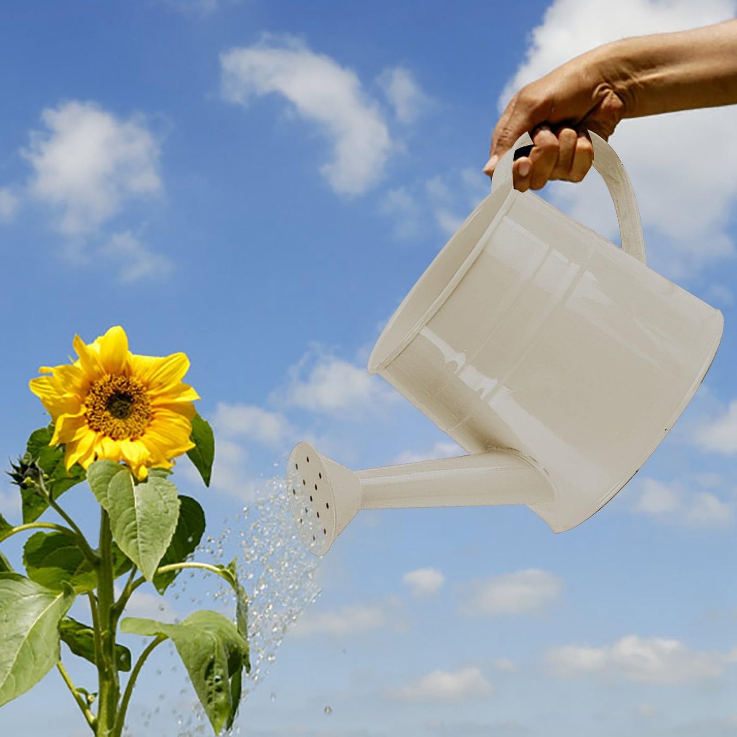 Galvanized Watering Can 1L,Tinplate Watering Kettle with Removable Spout,Garden Decorations,Gardening Tools for Outdoor Indoor Plants Lawn Garden (White)