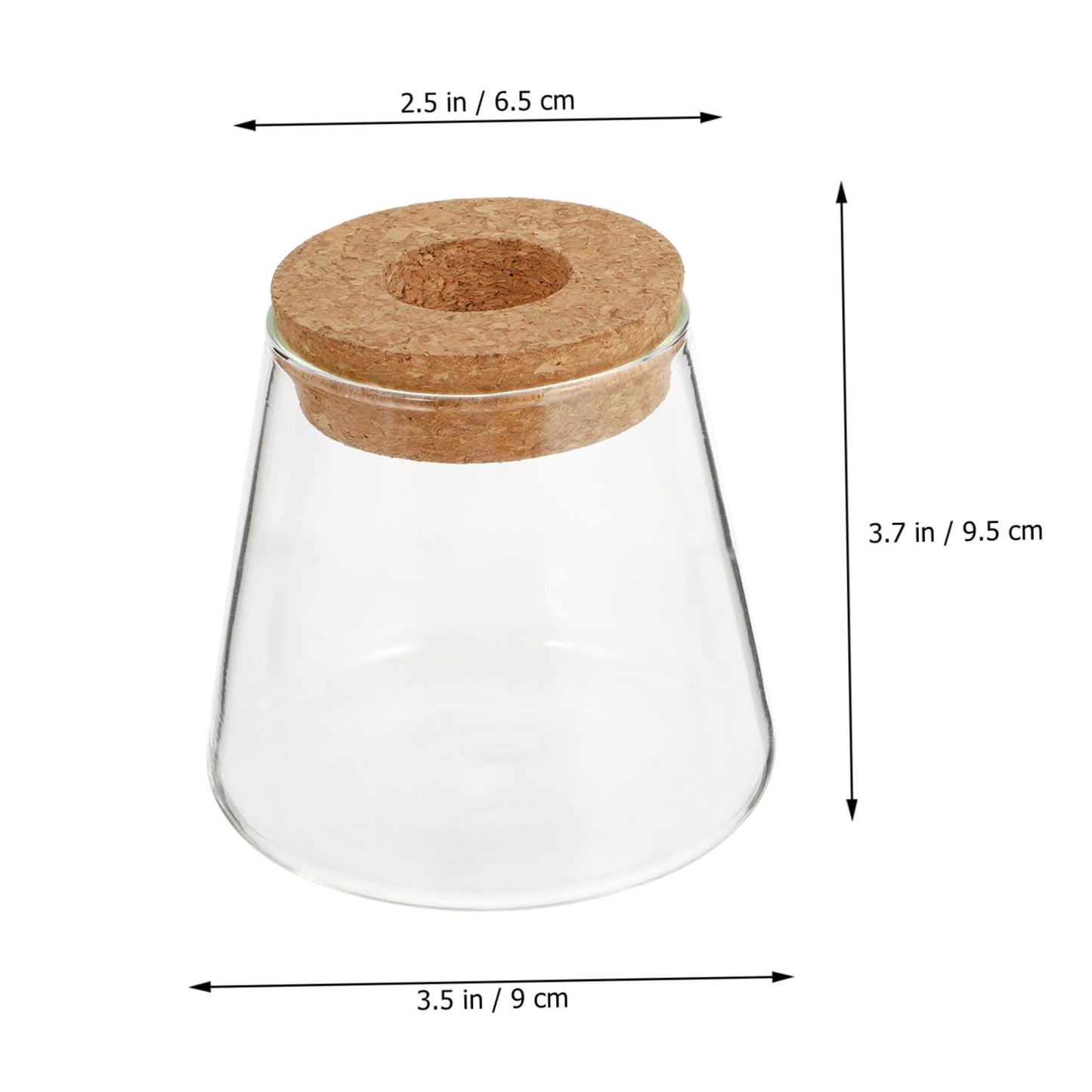 Zerodeko 2Pcs Hydroponic Plant Glass Vases Desktop Terrarium Clear Propagation Containers for Indoor Plants Home Decoration Garden Lovers