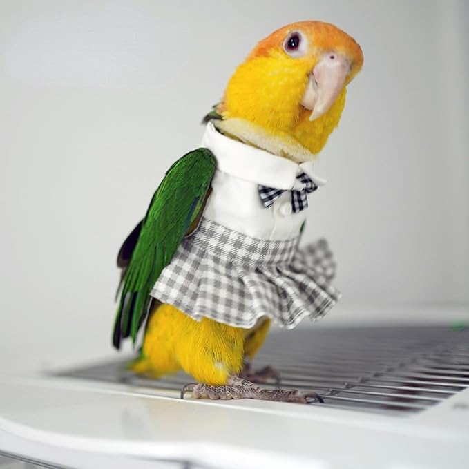 Bird Costume Bird Diaper Flight Suit Cute JK Dress Dress Skirt Clothes Cosplay Photo Prop for Parrots Macaw Cockatoo (with Diaper,2XL)