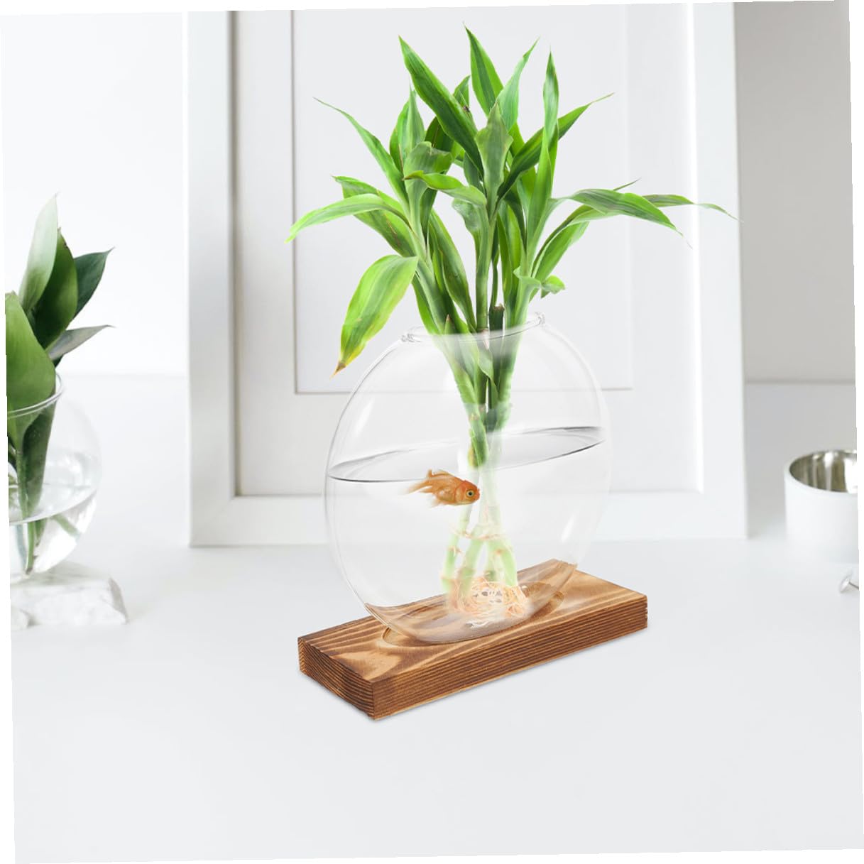 EXAOMBLE 2pcs Hydroponic Glass Vase with Wooden Base, Glass Flower Pot for Plant Propagation, Indoor Terrarium Planter for Home and Office Décor