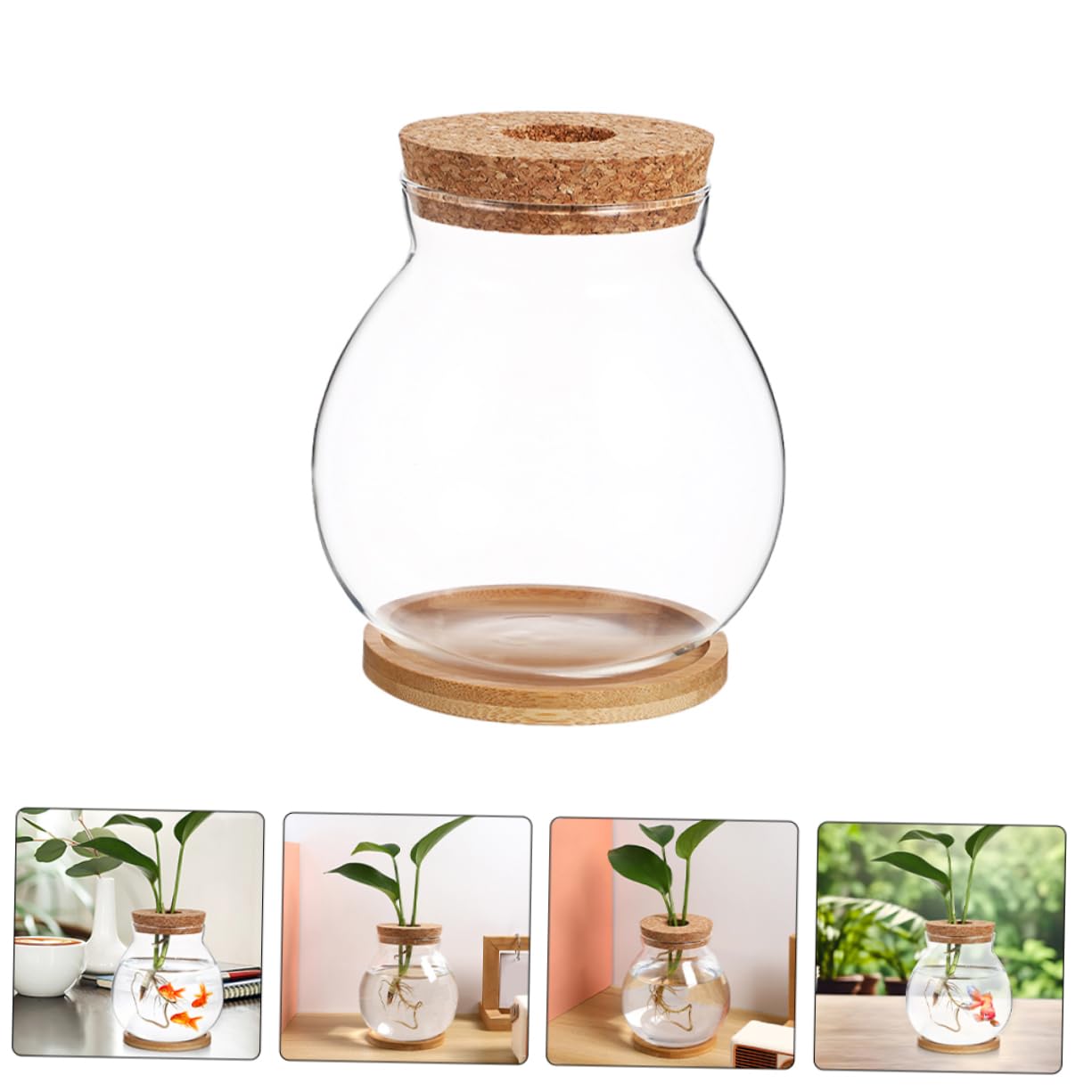 Kisangel Hydroponic Glass Vase Wooden Base for Indoor Plant Propagation Desktop Terrarium for Flower Arrangements and Root Growth Display