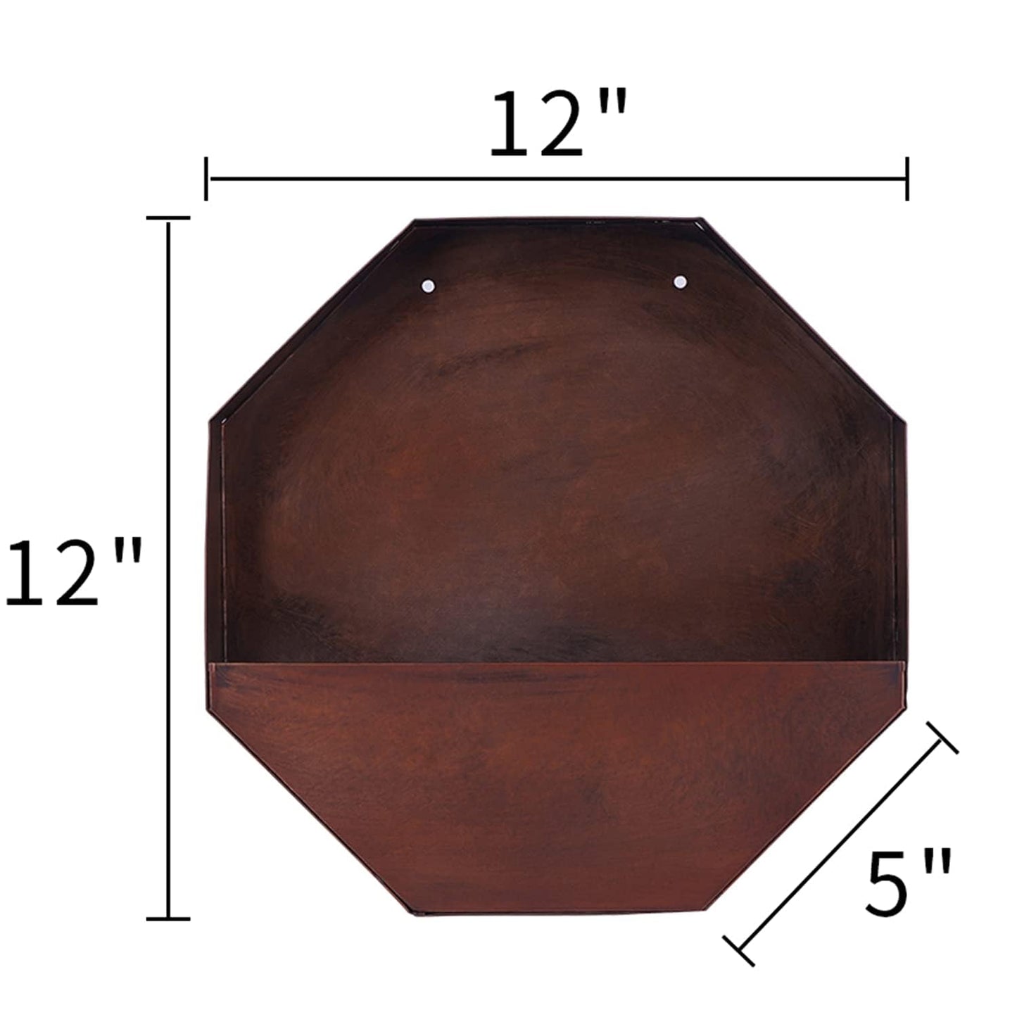 Topadorn Rustic Metal Wall Planter, 12 Inch Hexagon Hanging Planter with Patina Finish, Geometric Wall Mounted Plant Holder for Indoor & Outdoor Vertical Garden Décor, Farmhouse Wall Decor