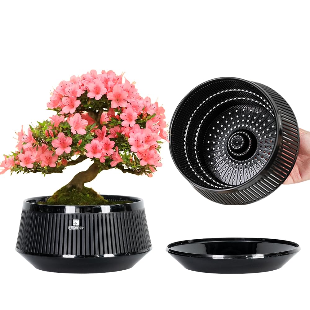 Meshpot 8 Inch Bonsai Pots with Drainage Tray, Set of 1, Plastic Imitate Ceramic Bonsai Tree Pot with Excellent Airflow, Large Succulent Pots for Indoor Plants, Juniper, Ficus, Chinese Elm, Cactus