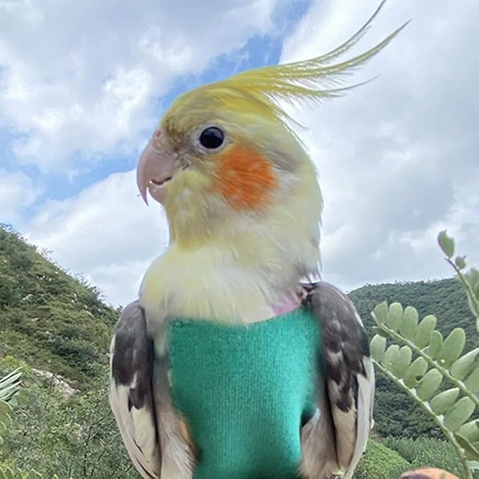 Pet Bird Diaper Harness Adjustable Parrot Harness and Leash Set Cockatiel Flight Suit with 60 Inch Leash Bow Tie Bird Flying Clothes for Conures Cockatoos Cockatiel Pigeon(Pink, Medium)