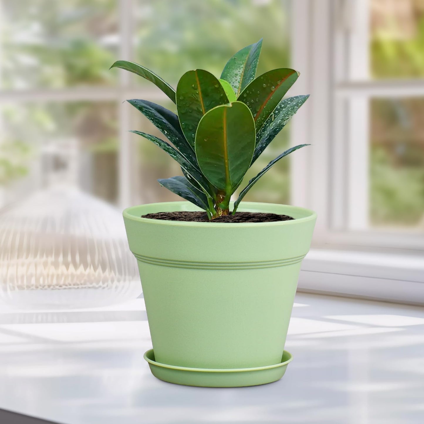 Meowell 6 inch Plastic Nursery Pots, 16 Pack Plant Pots for Small Indoor Outdoor Plants, Flower Pots with Drainage Holes and Saucers, Decorative Seeding Starter Planters for Houseplants, Green