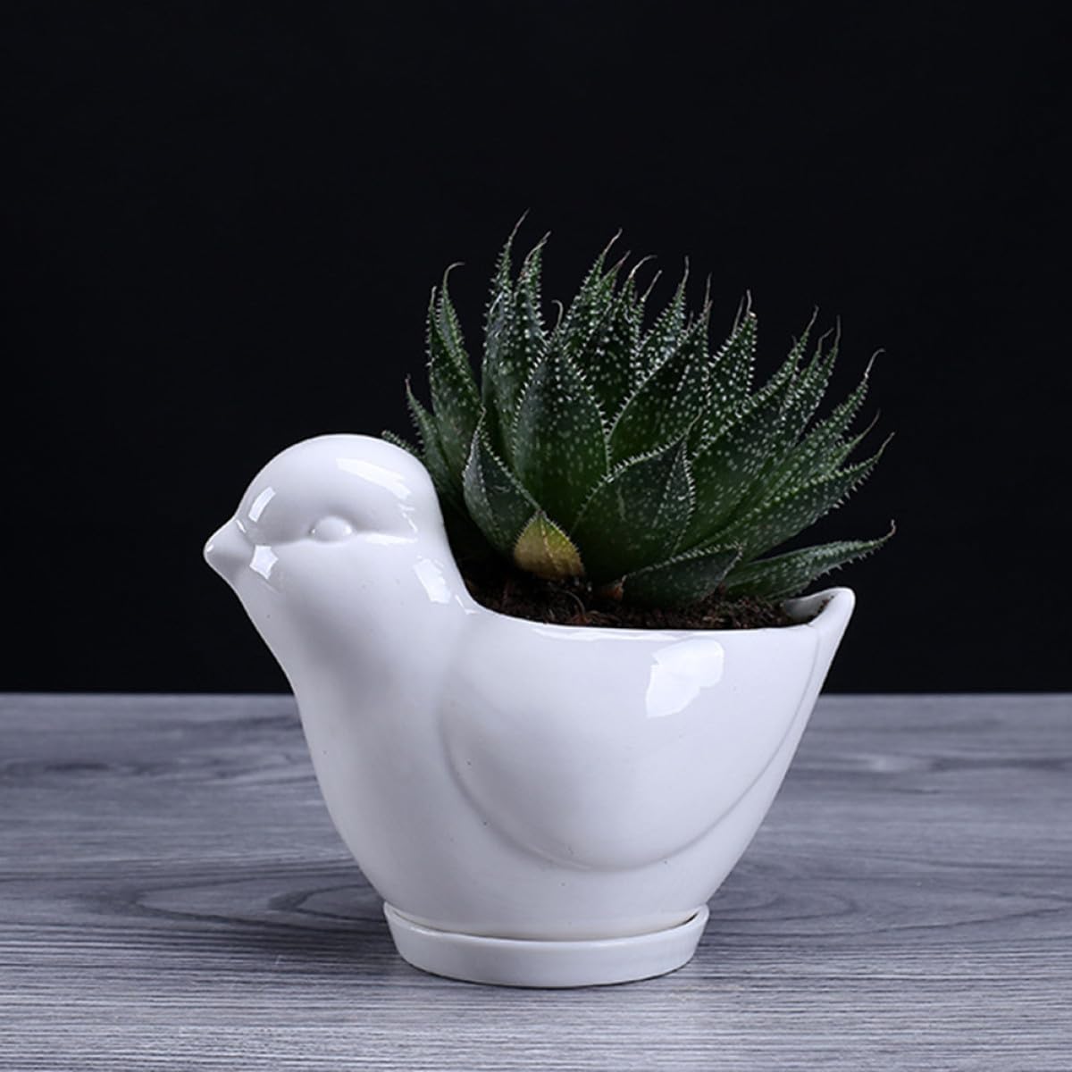 Yardwe Ceramic Bird Shape Succulent Plant Container with Tray Small White Flower Pot for Indoor Desktop Decor