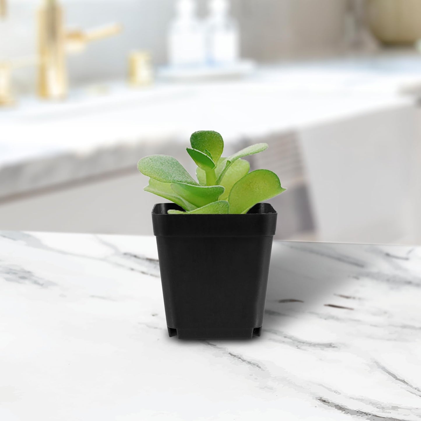 MAHIONG 150PCS 4 Inch Square Nursery Plant Pots, Plastic Plant Seedling Pots with Drainage Holes, Black Plant Seedling Pots for Starting Seedlings or Garden Plant