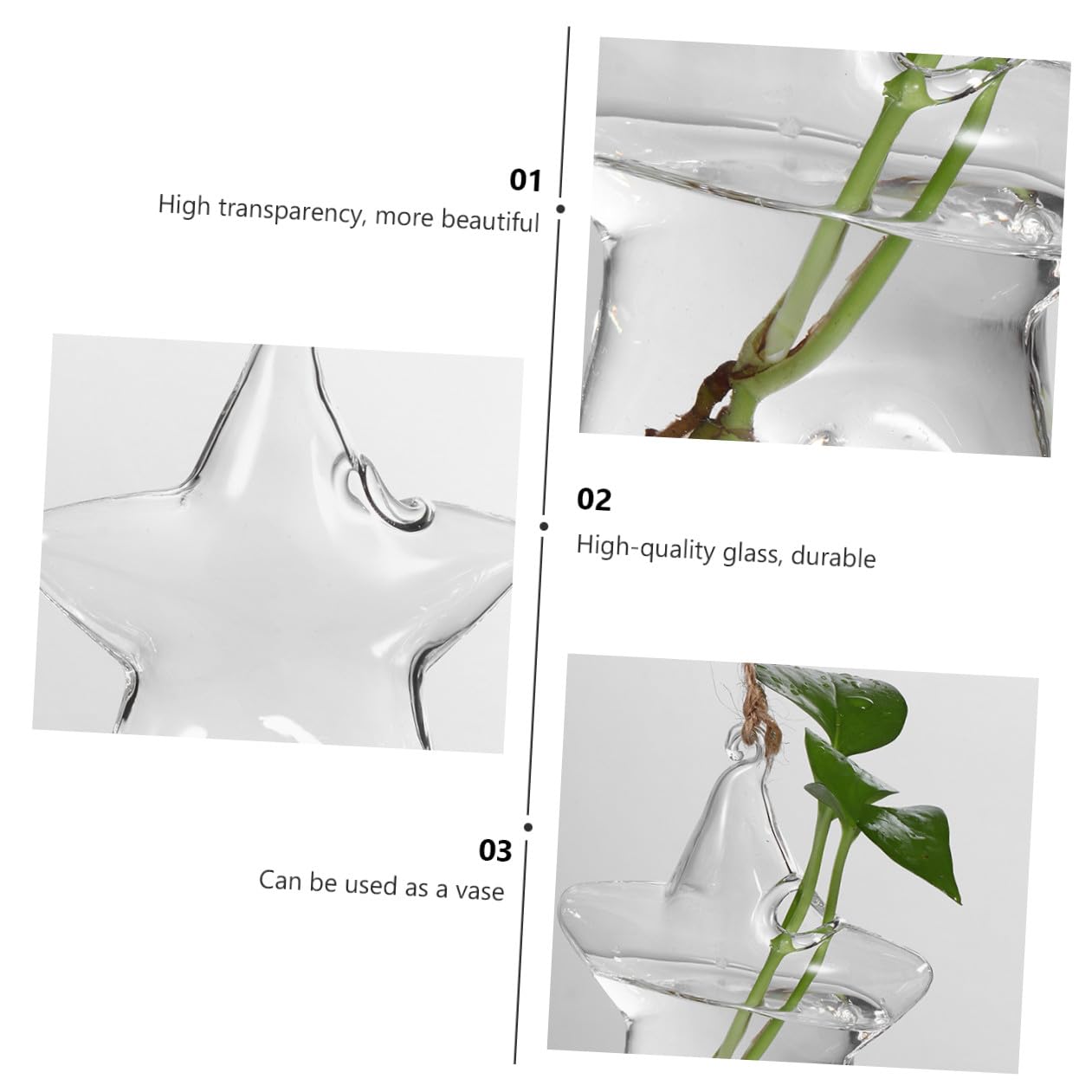LIOOBO Terrarium Star Vase Elegant Hanging Planter for Home Office for Plant Lovers