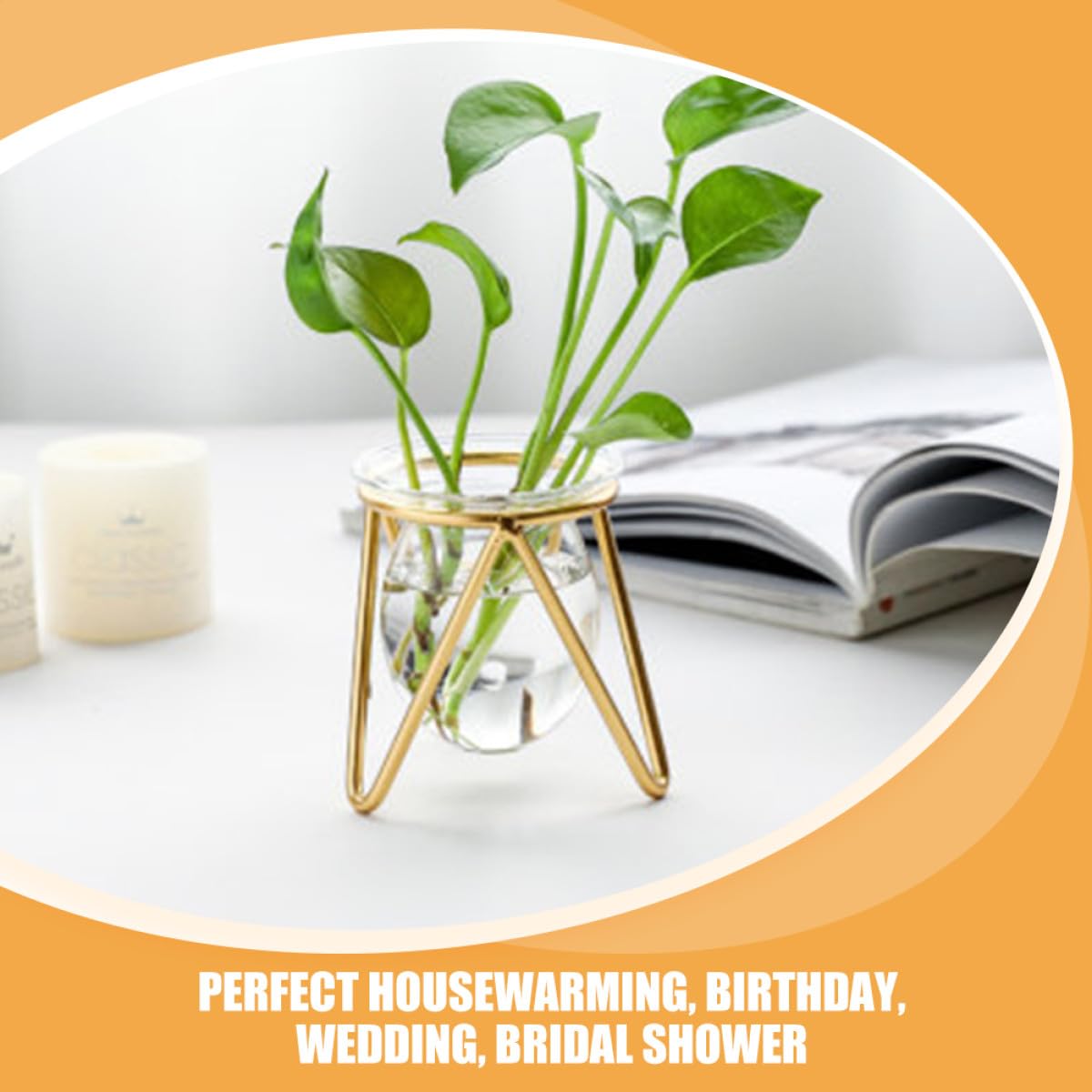 Unomor Glass Hydroponic Plant Vase with Gold Metal Stand Small Tabletop Flowerpot for Indoor Air Plants and Terrarium Décor for Home and Wedding