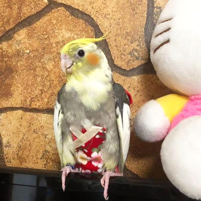 Bird Flight Suits Diapers, Parrot Flight Suits Diapers for Quaker Parakeets Cockatiels Flight Suits, Parrot Clothes (Almond A,2XL)