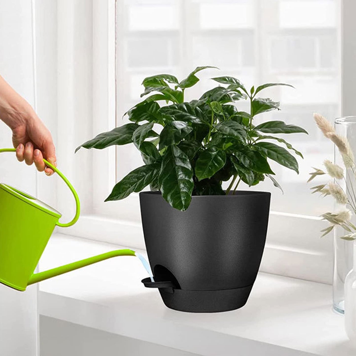 Self Watering Pots for Indoor - 8/7/6.5/6/5.5/5 Inch Self Watering Planters for Indoor Plants with Deep Saucer Reservoir & Drainage Holes Plastic Flower Pots for House Plants or Flower (Black)