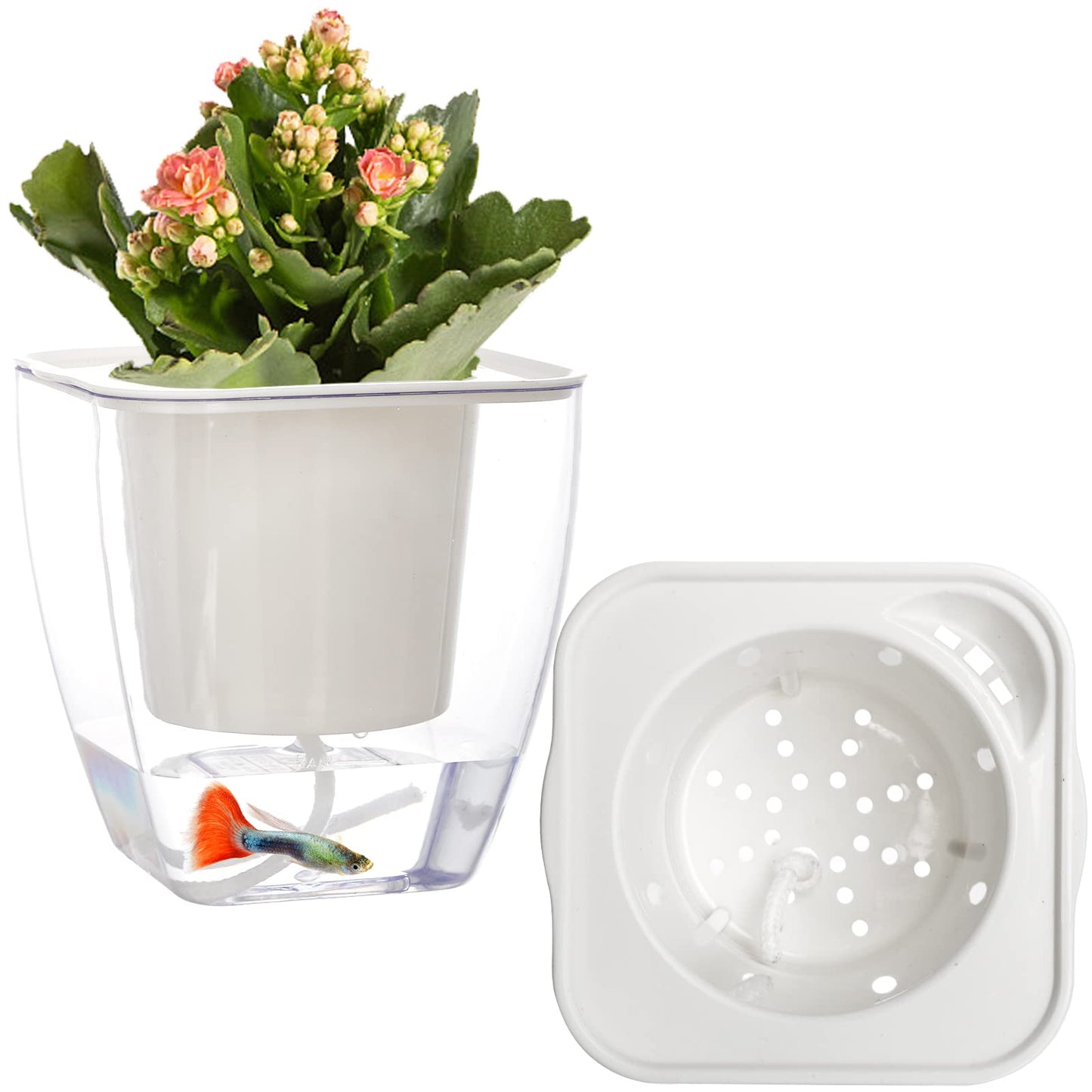 Lyellfe 6 Pack Plastic Self Watering Pots, 4 Inch Clear African Violet Pots for Indoor Plants, Automatic-Watering Planter with Drainage, Wick Rope, Windowsill Gardens, Herb, Orchid