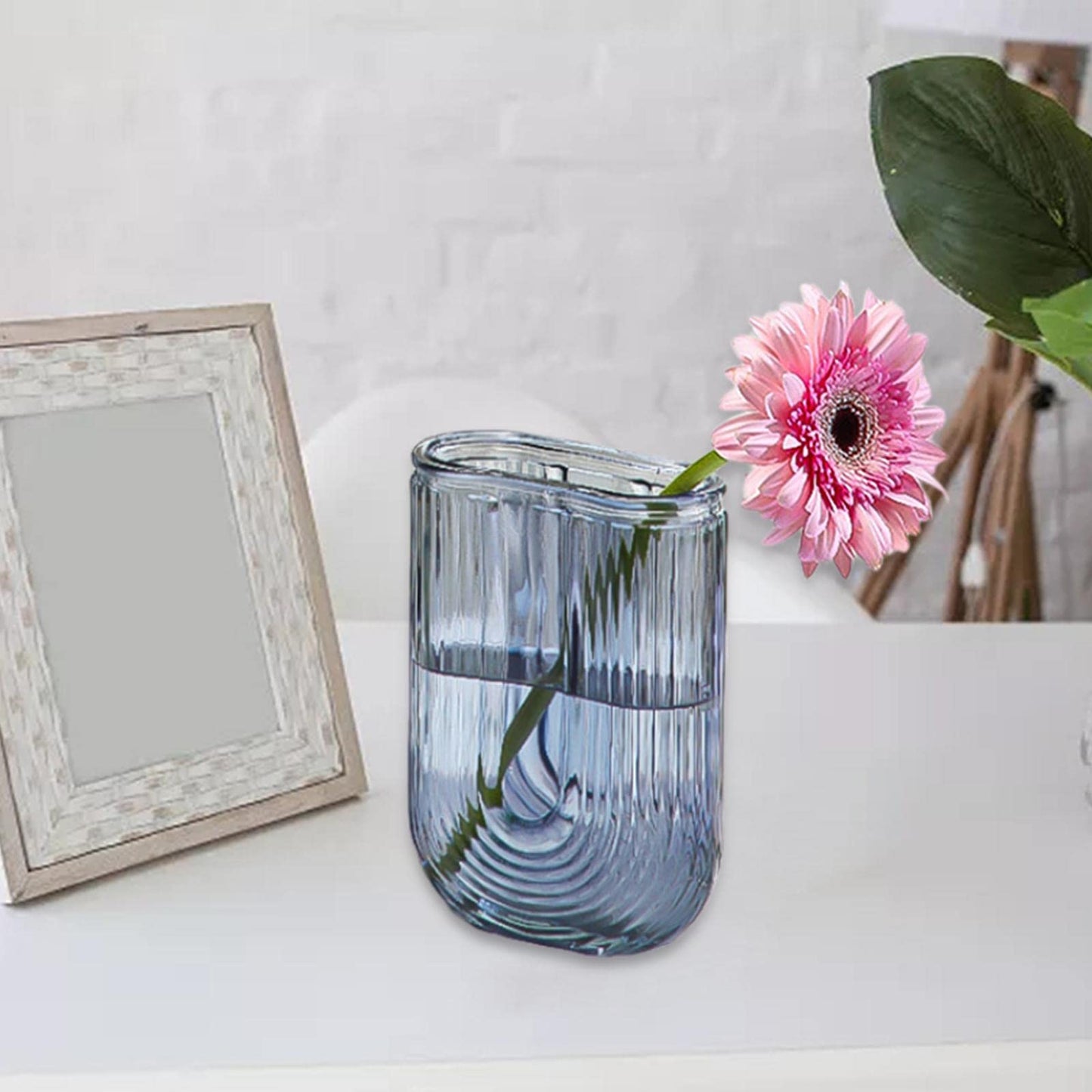 Duiaynke Glass Vase, Glass Ornament,Plant Vases Modern Terrarium Holder Display, for Dining Table Office Desktop Home Decor