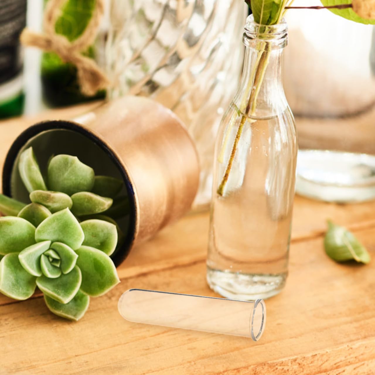 IWOWHERO 5Pcs Plant Propagation Station Glass Plant Test Tube Planter Pot Holder for Hydroponics for Home Office Planter Hanger Flower Vase Wall Decor Hydroponic Cuttings Clear