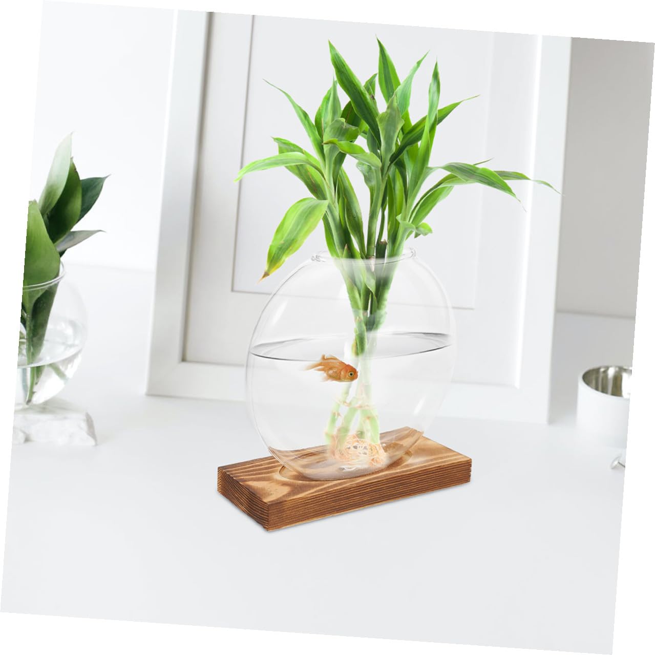 HYTROVE 2Pcs Hydroponic Glass Vase with Wooden Base, Propagation Planter for Indoor Plants, Desktop Terrarium Station for Home and Office Decor