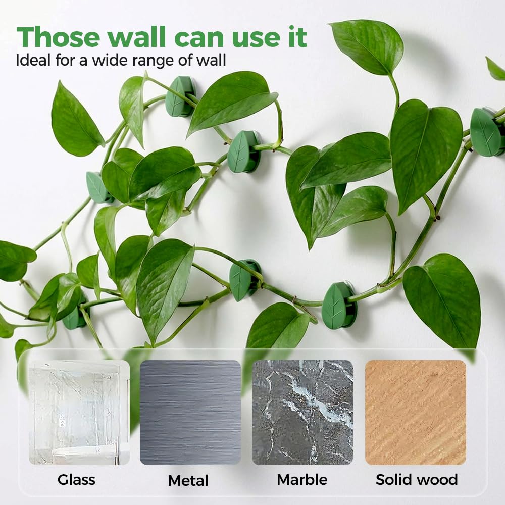 60 Pcs Plant Climbing Wall Fixture Clips with Acrylic Adhesive Stickers, Leaf Fixer Invisible Wall Vines Fixing Clips Self-Adhesive Hook Plant Vine Traction for Indoor Outdoor Decoration (60 Pcs)