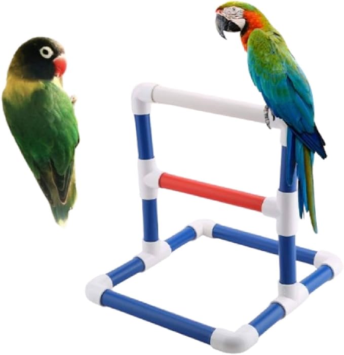 Bird Perch, Parrot Stand Training Stand Table Top Stand Perch Rack Bird Play Training Stands Parrots Shower Perches for Macaw Cockatoo African Grey Budgies Parakeet (Pvc 2)