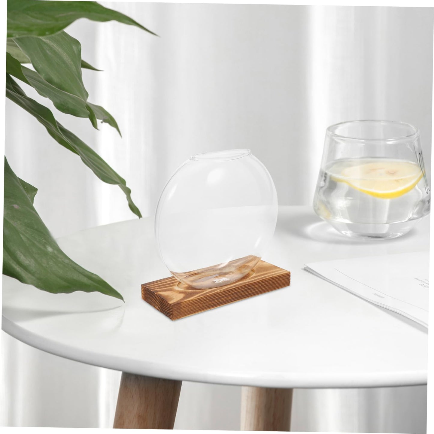 ANDRESLAD Hydroponic Vase with Wooden Base Transparent Glass Plant Propagation Station for Indoor Plants Terrarium Small Desktop Planter Root Observation Decorative Home Decor
