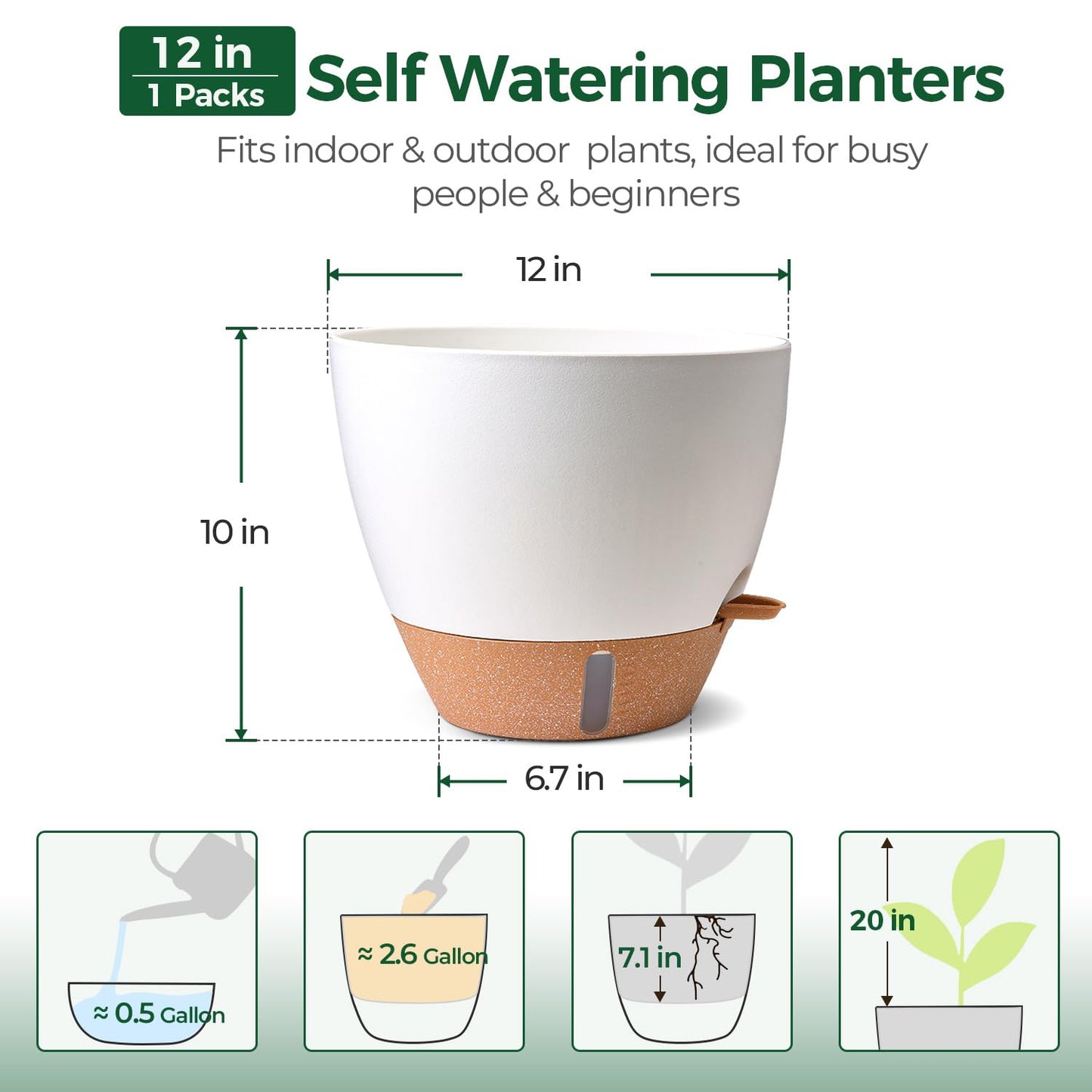 T4U 12 Inch Self Watering Pot - Water Level Indicator & Deep Reservoir, Mess-Free Planter for Busy People, Beginners & Gardeners, Fits Rubber Tree/Fiddle Leaf Fig Plants, Indoor Outdoor Use (White)
