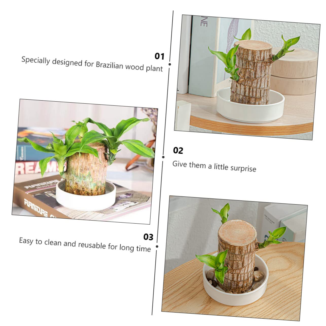 OFFSCH Ceramic Plant Tray for Brazilian Wood Pot 2Pcs - Decorative Saucer for Home and Office Easy to Clean Prevents Water Spillage