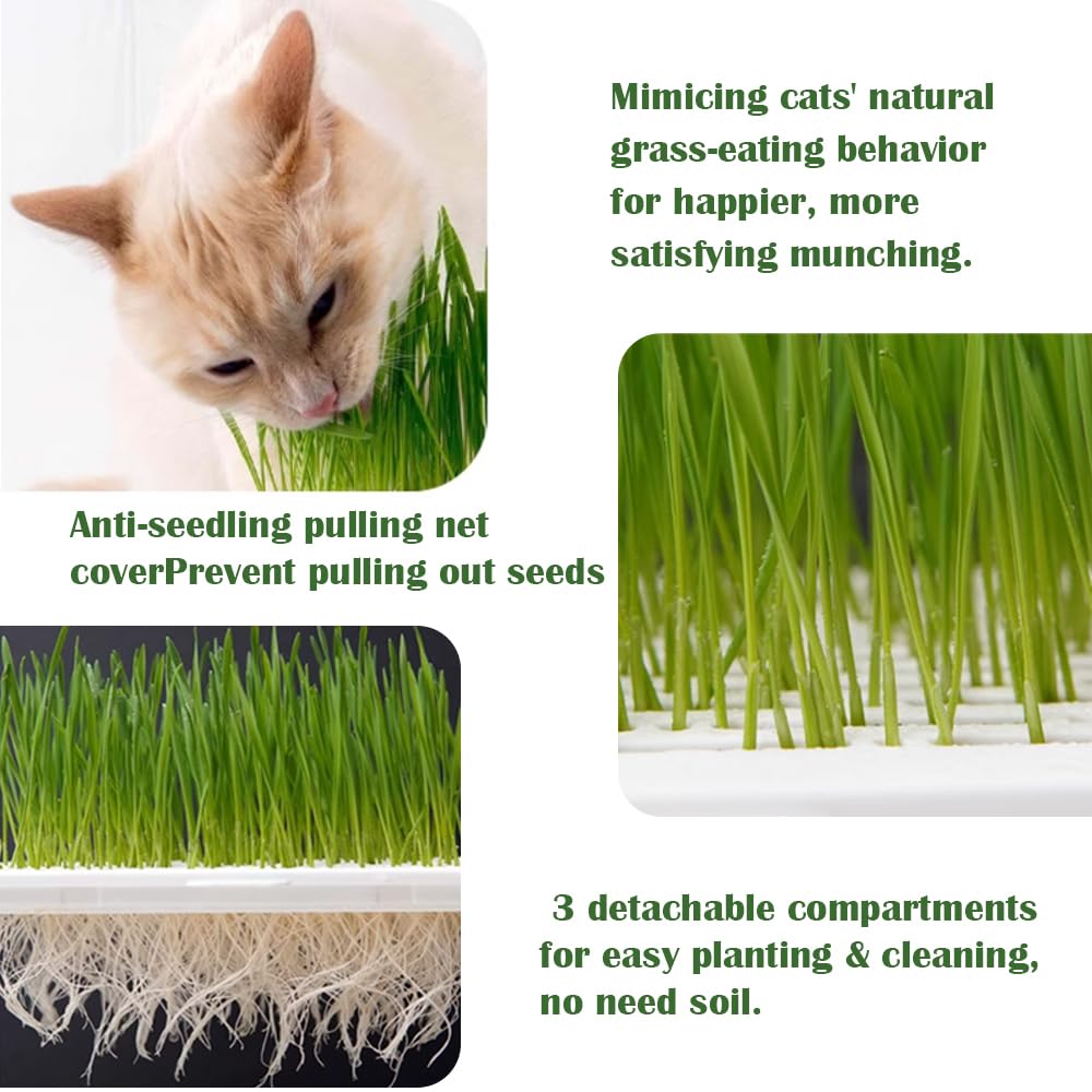 YjiaYjiaY 2-Pack Cat Grass Planter (No Seeds Included), Tri-Section Design, Anti-Pull Out Cat Grass Seed Starter Tray, Sprouts Growing Kit, Microgreens Growing Trays