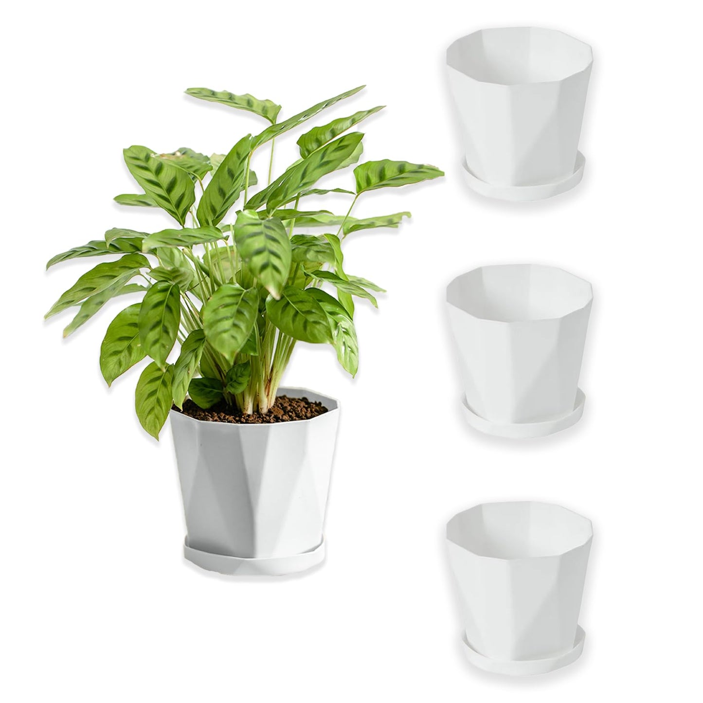 BovcTrraann 4-Pack Plant Pot, 5 Inch Plastic Flower Pots with Drainage Hole and Saucer, Plastic Planters for Indoor Outdoor Garden Plants, Flowers and Succulents (White)