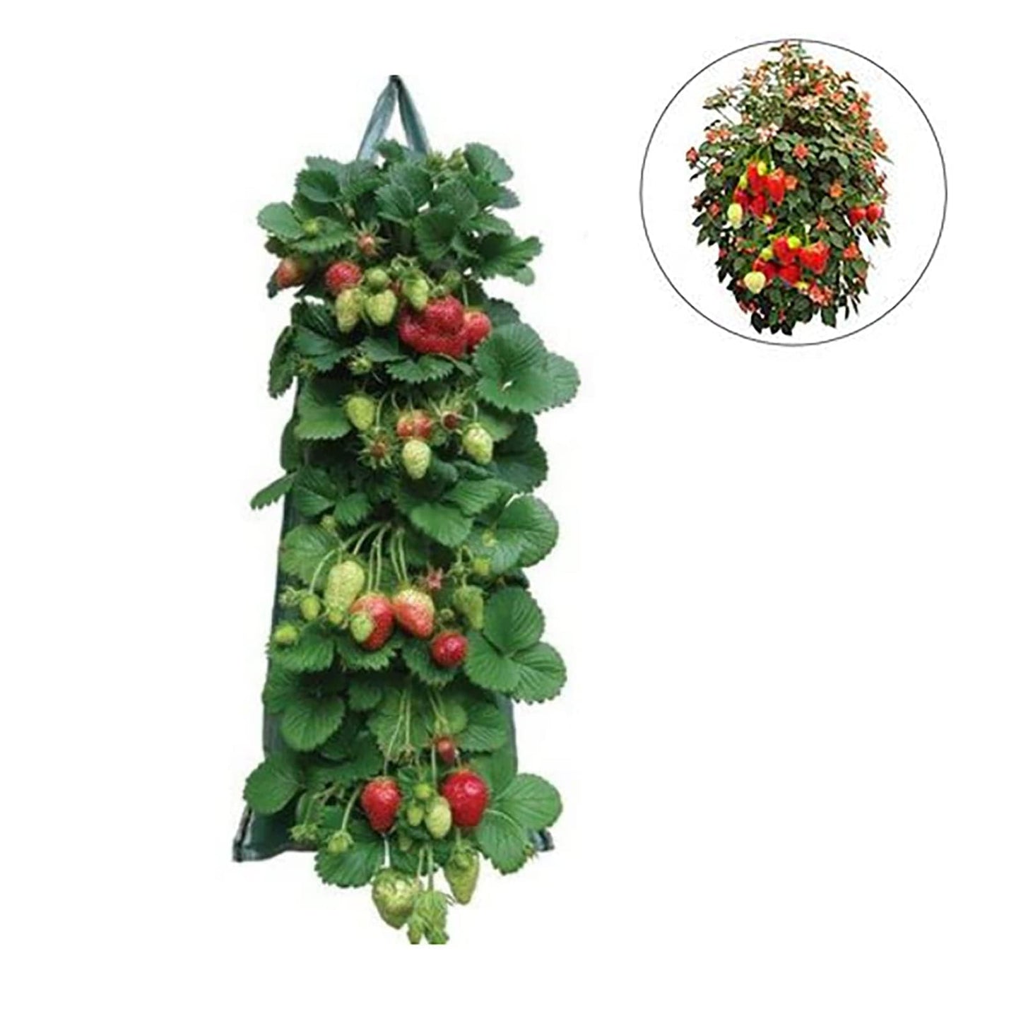 2024 Hanging Strawberry Planter - Upside-Down Patio Garden Tomato Grow Bags With Handle for Outdoor (3)