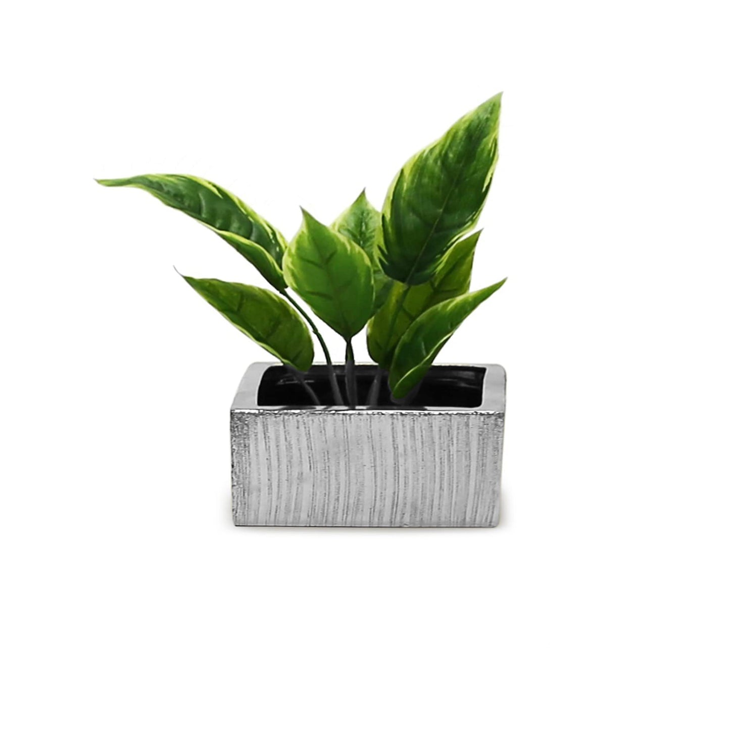 WGV Silver Scratched Square Ceramic Vase, Width 8", Height 4", Elegant Morden Short Square Pan Floral Planter Terrarium Pot Container Tabletop for Event Accent Home Decor 1 Piece