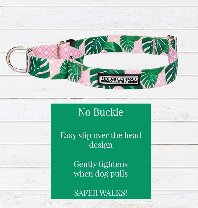 Lucky Love Dog Martingale Dog Collar - Adjustable, No-Slip, Comfortable, Durable, Soft Webbing & Stylish Patterned Collar for Male and Female Dogs Ideal for Training & Walking - Laguna, Medium