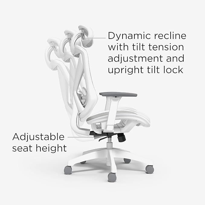 STAPLES Ergonomic Task Chair, Lumbar Support
