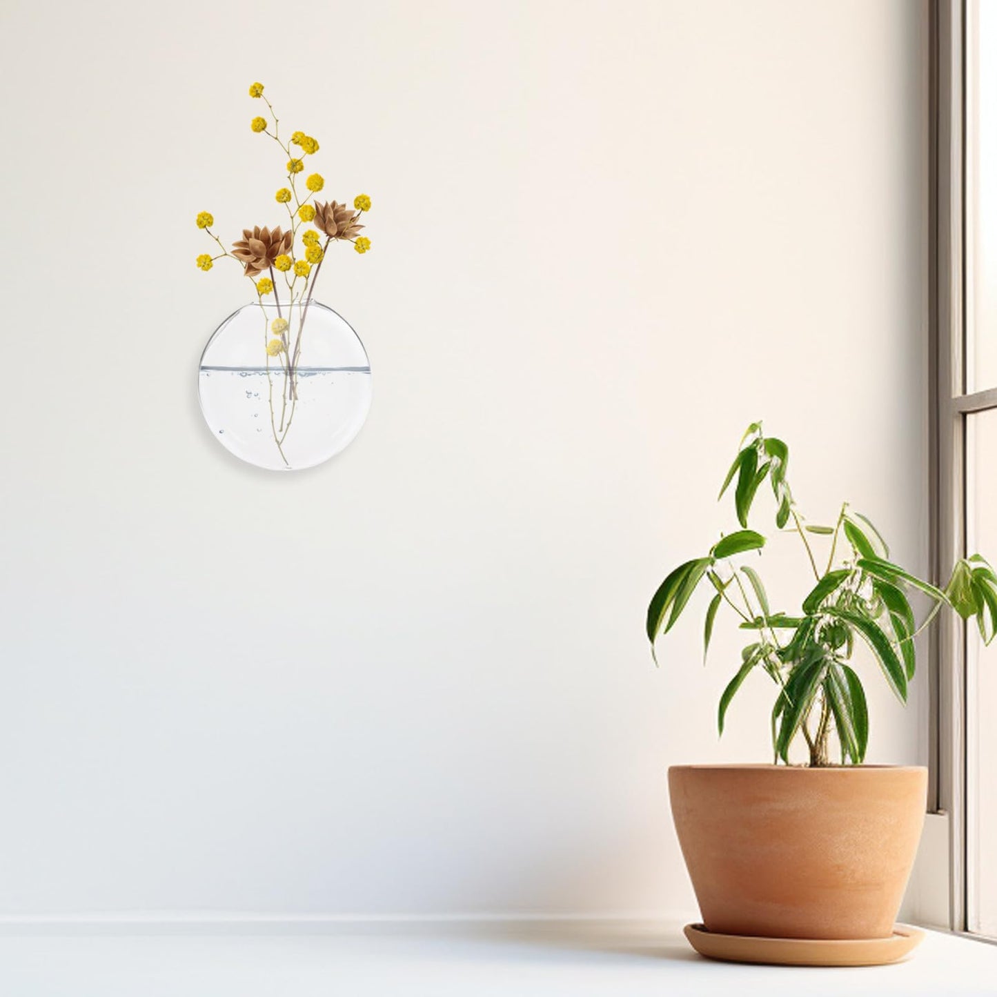 SUPVOX 2pcs Wall Mounted Glass Vase Hydroponic Planter Small Hanging Glass Terrarium Indoor Plant Holder for Home Office Décor