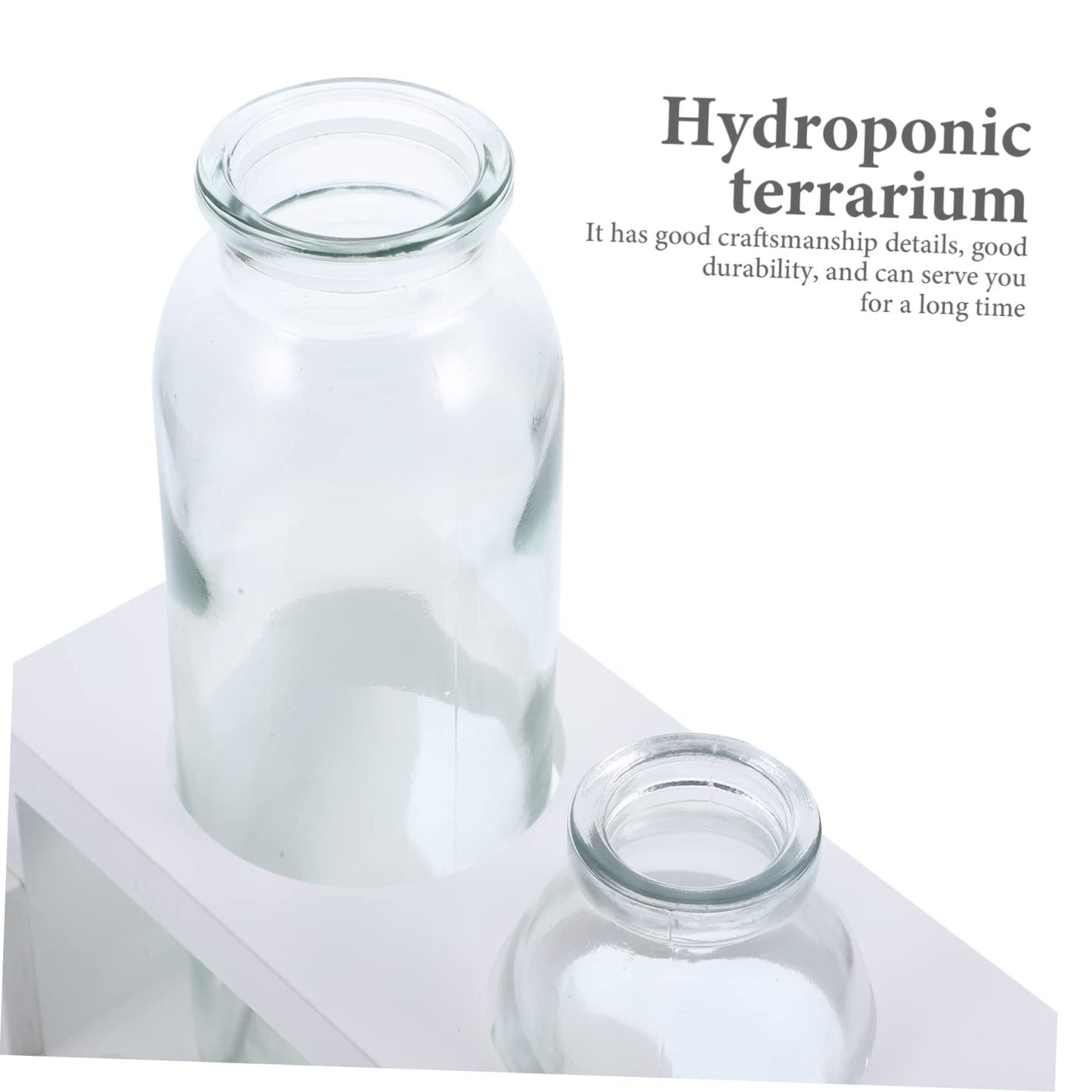 VICASKY Glass Terrarium Vase with Wooden Stand for Hydroponic Plants Modern Desktop Decoration Indoor Water Planter for Flower Arrangements Stylish Home Decor