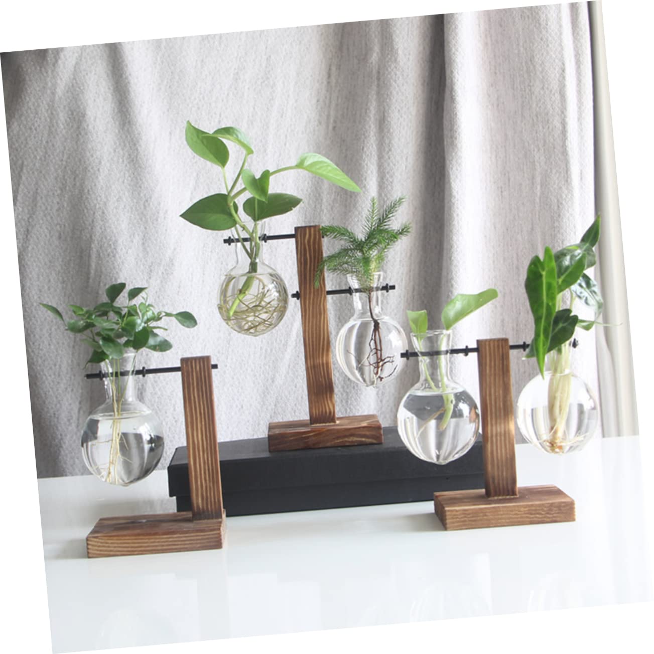 BESPORTBLE 1set Hydroponic Plant Vase Desktop Terrarium for Home Office Decoration Easy to Install Premium Glass for Floral Arrangement