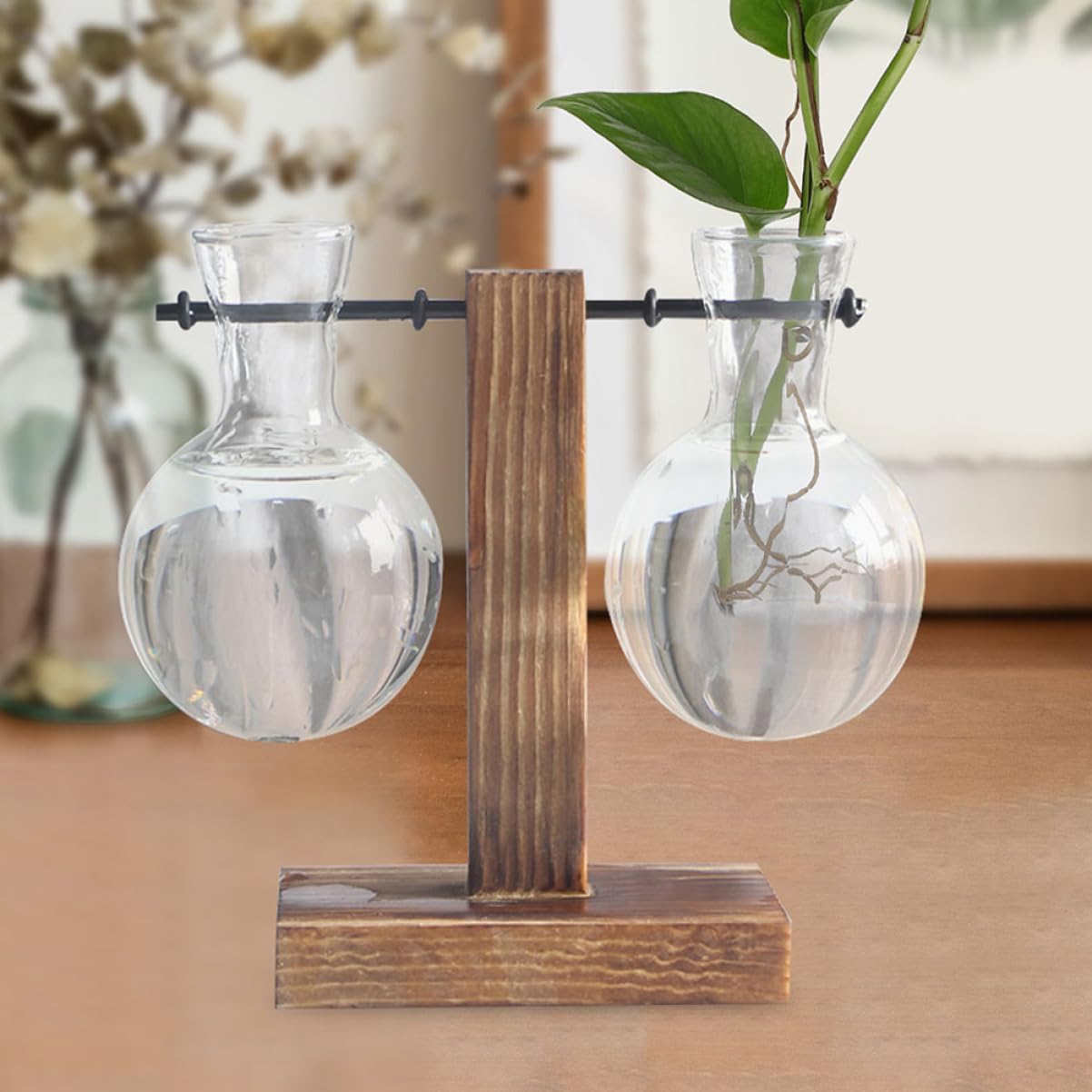 Mobestech 3pcs Hydroponic Glass Vase Base Clear Borosilicate Plant Propagation for Flowers and Terrariums and Stylish Desktop Decoration