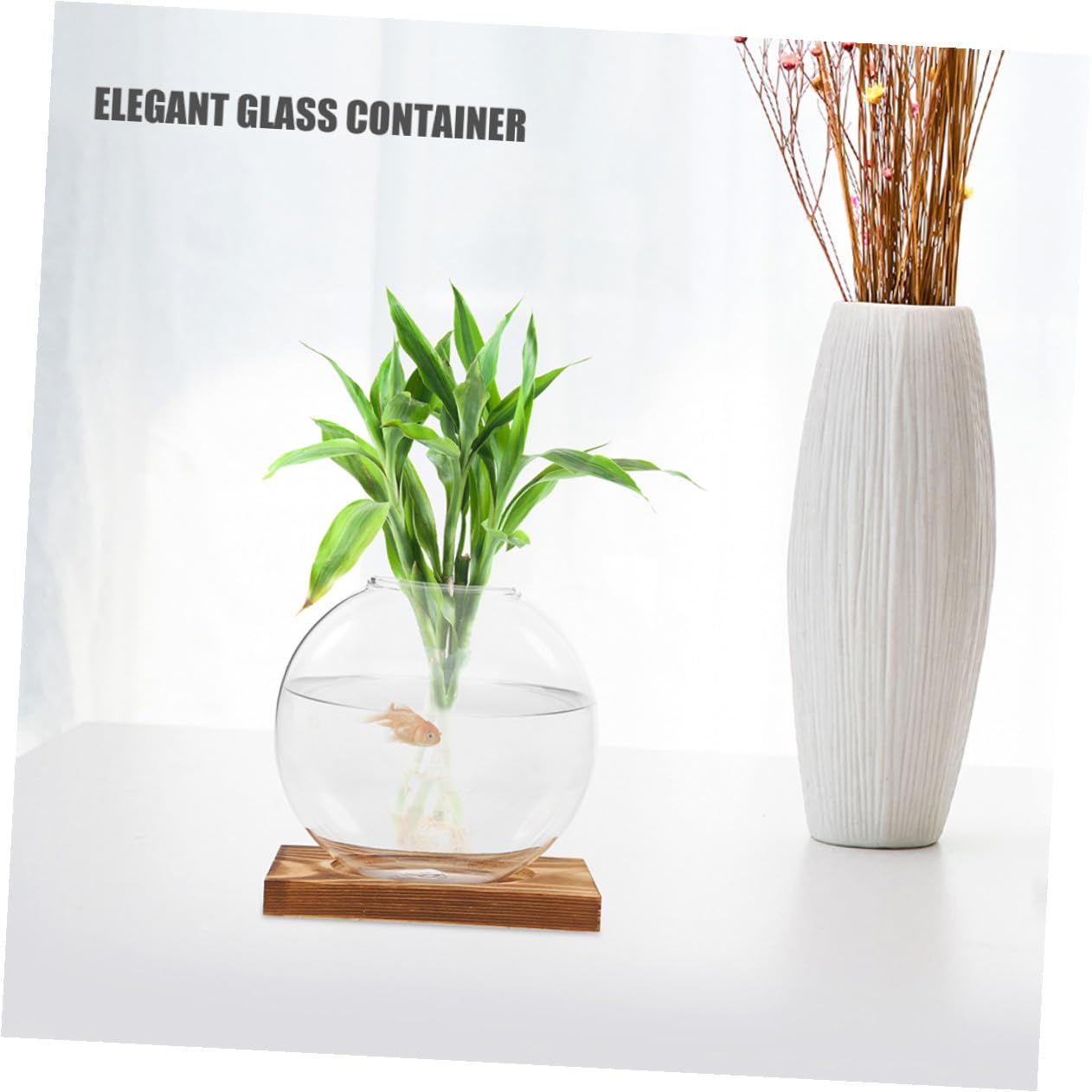 FUTUREORYY 2pcs Indoor Plant Vase with Wooden Base, Hydroponic Glass Planter for Propagation, Desktop Terrarium Suitable for Home and Office Décor