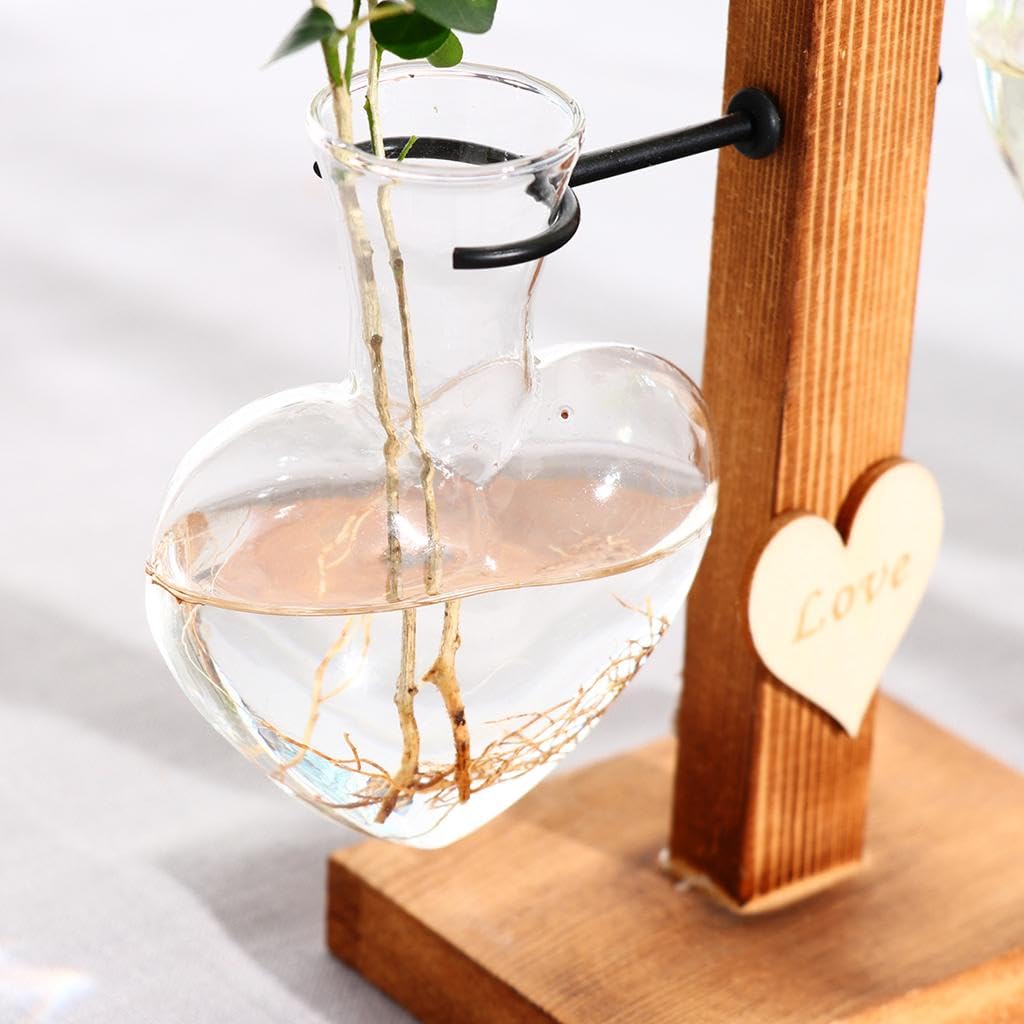 Baoblaze Desktop Plant Terrarium Glass Vase, Suitable Plants, Flowers, 15x10cm