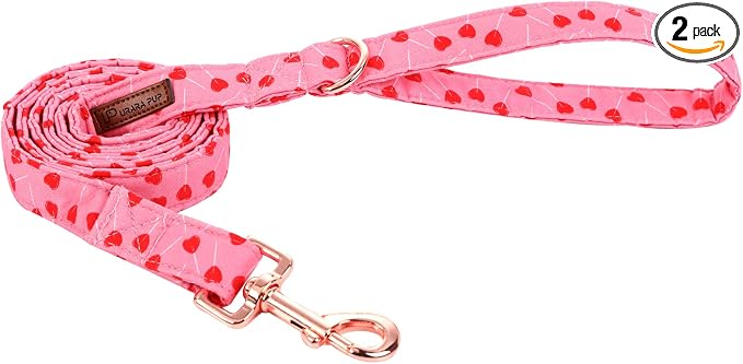 Valentine Dog Collar & Leash Set, Sturdy Durable Cotton, Pink, Wedding, Small to Large Dogs