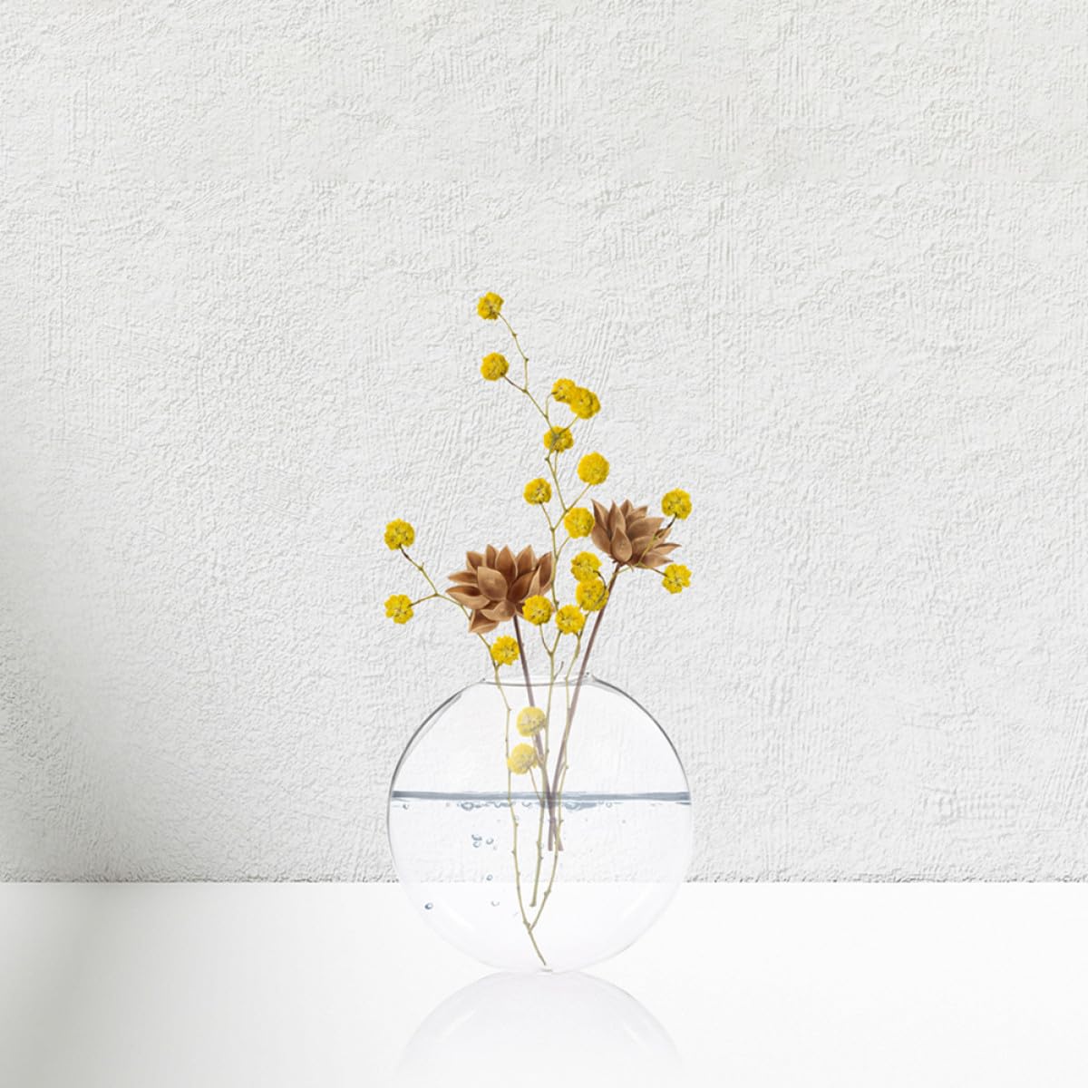 Veemoon 2pcs Wall Hanging Hydroponic Glass Vases for Indoor Plants, Glass Propagation Terrarium Flower Vase Set for Home Décor and Office Display