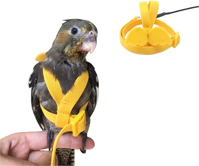 Bird Harness Parrot Leash -Adjustable Outdoor Flying Kit for Parrot Budgie Lovebird Cockatiel Macaw Parakeet (Yellow,XL)