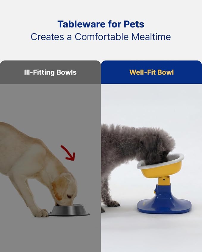 PETHROOM Well Fit Dog Bowl – Durable Ceramic Cat & Dog Food and Water Bowl, Stable & Non-Slip Silicone Base, Easy to Clean, 6.2 × 6.2 × 2.0 in, Green