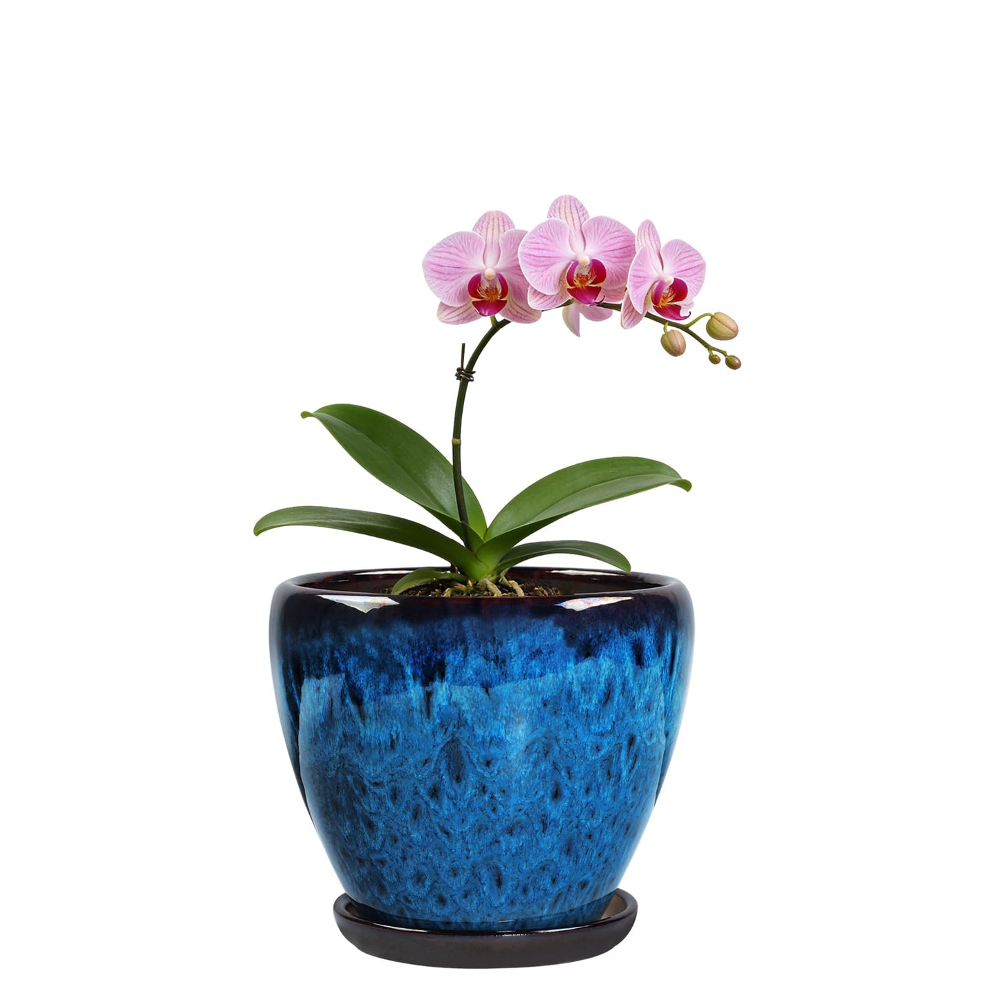 Xoogifae Ceramic Plant Pots with Saucer, 6 inch Glaze Planters for Indoor Plants with Drainage Holes, Decorative Small Flower Pots Outdoor, Modern Succulent Pots for Home Room Decor