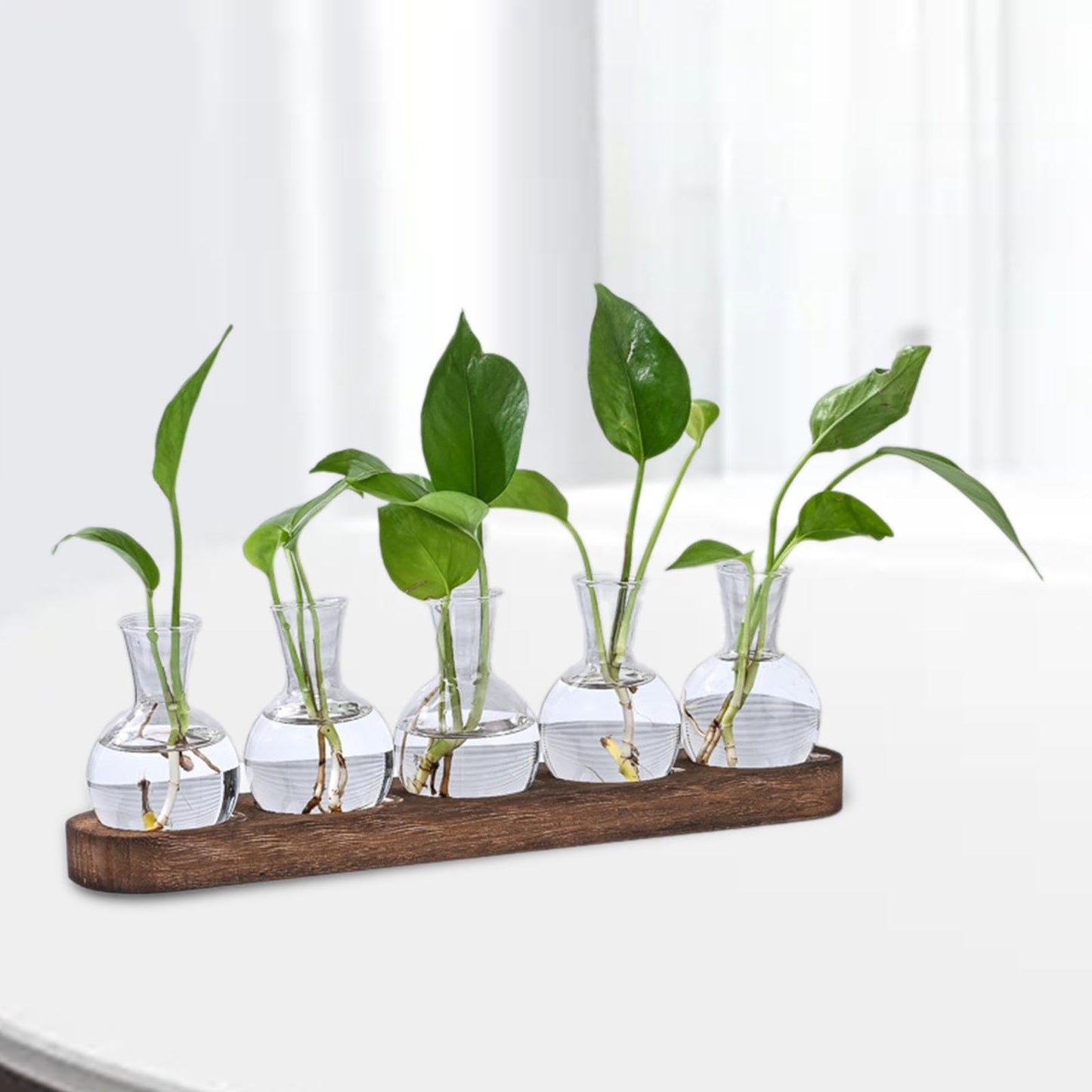 BLWOTMOR Plant Terrarium Desktop Glass Glass Vase