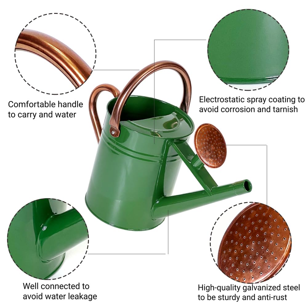 Megawodar 1 Gallon Metal Watering Can with Removable Spout, Nice Galvanized Steel Water Can for Indoor and Outdoor Plants (House Plants)