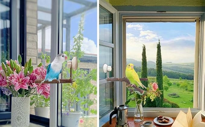 Natural Bird Perch Stand with Suction Cup for Window Mirror Car Shower Travel Bath for Small Medium Large Parrot Parakeet Cockatiel Concure Budgie Macaw Finch Y Shap Indoor Outdoor Outside Wild Birds