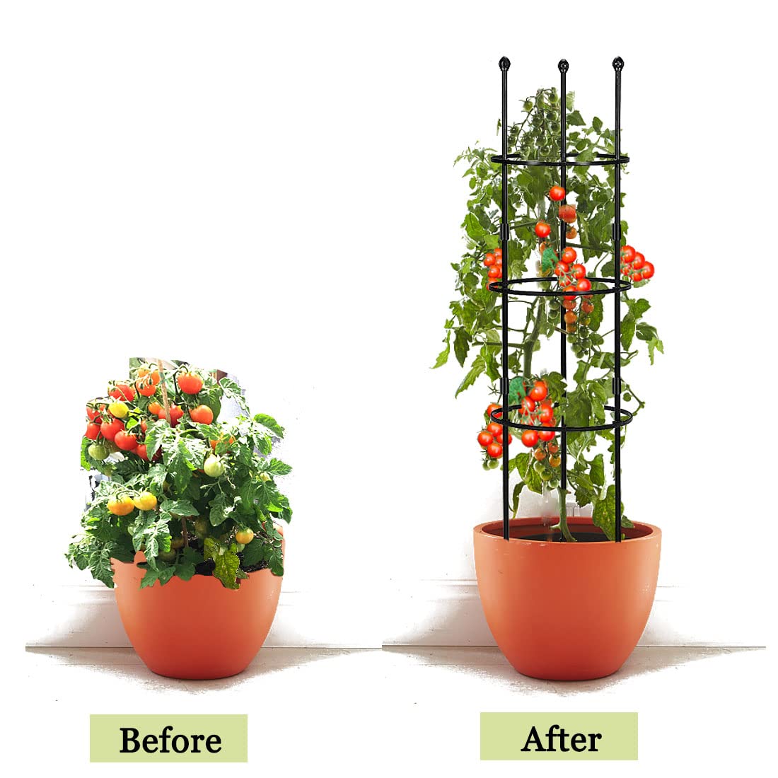 Garden Trellis,2 Pack Plant Trellis,2 in 1 Tomato Cages and Supports for Vines Crop,Plant Stake for Climbing Plants Indoor Outdoor,Plant Cage for Flower,Vegetable,Vines, Pot Trellis for Potted Plants