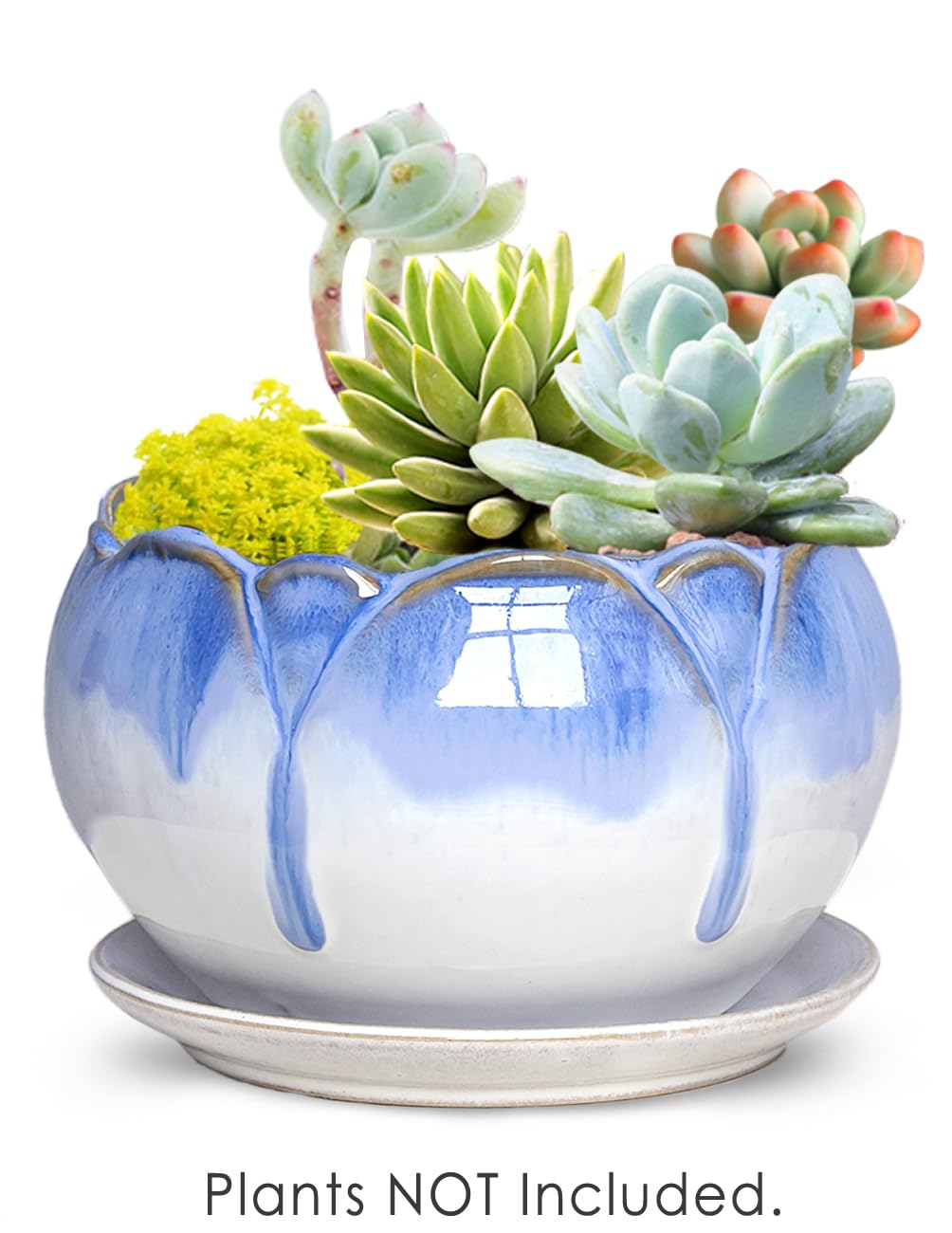 Dahlia 5.5'' Inch Rustic Drip Glazed Ceramic Planter/Succulent Pot/Plant Pot w. Saucer/Tray, White