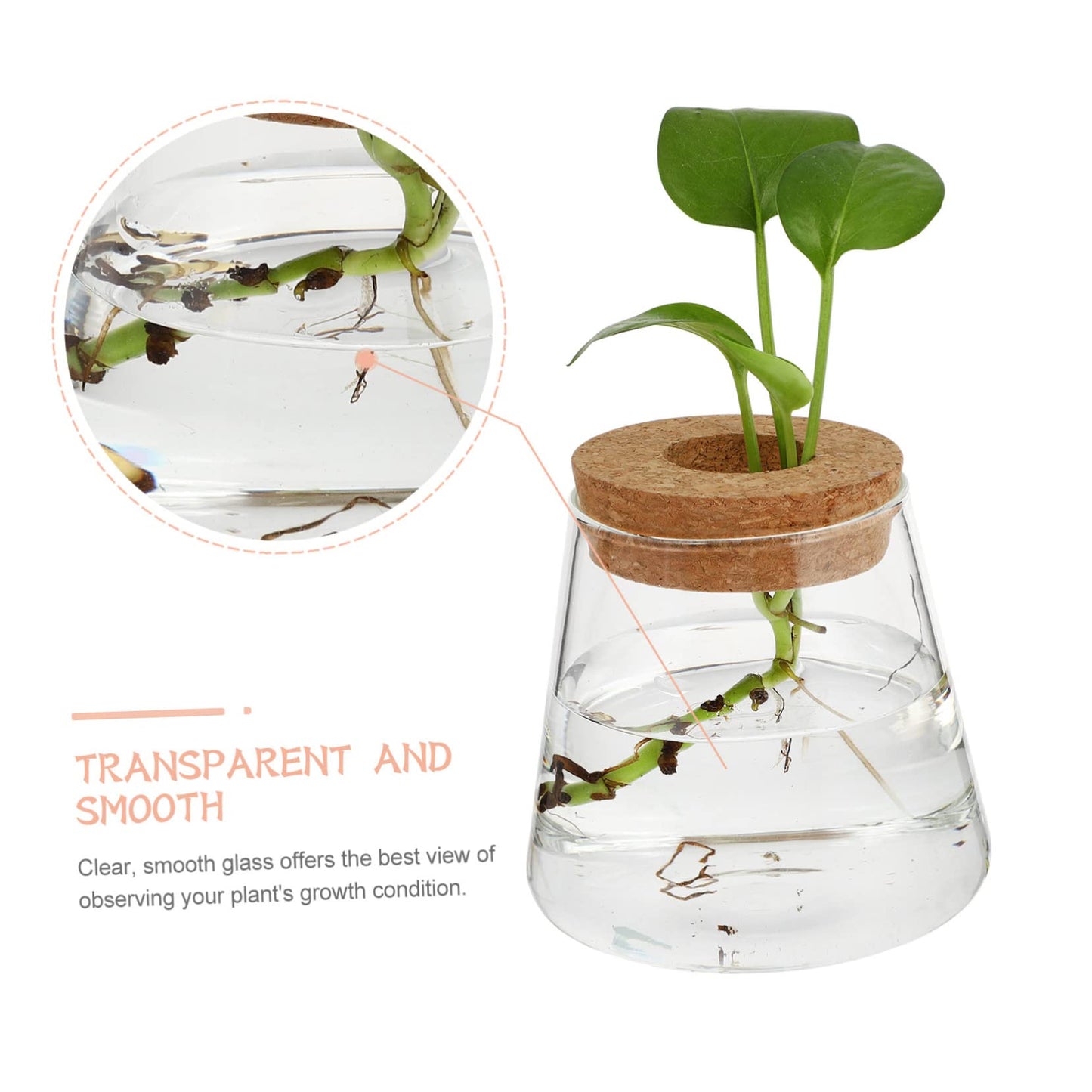 INOOMP 2Pcs Hydroponics Glass Vase for Plants Clear Smooth Terrarium Planter Home Decoration for Office and Events