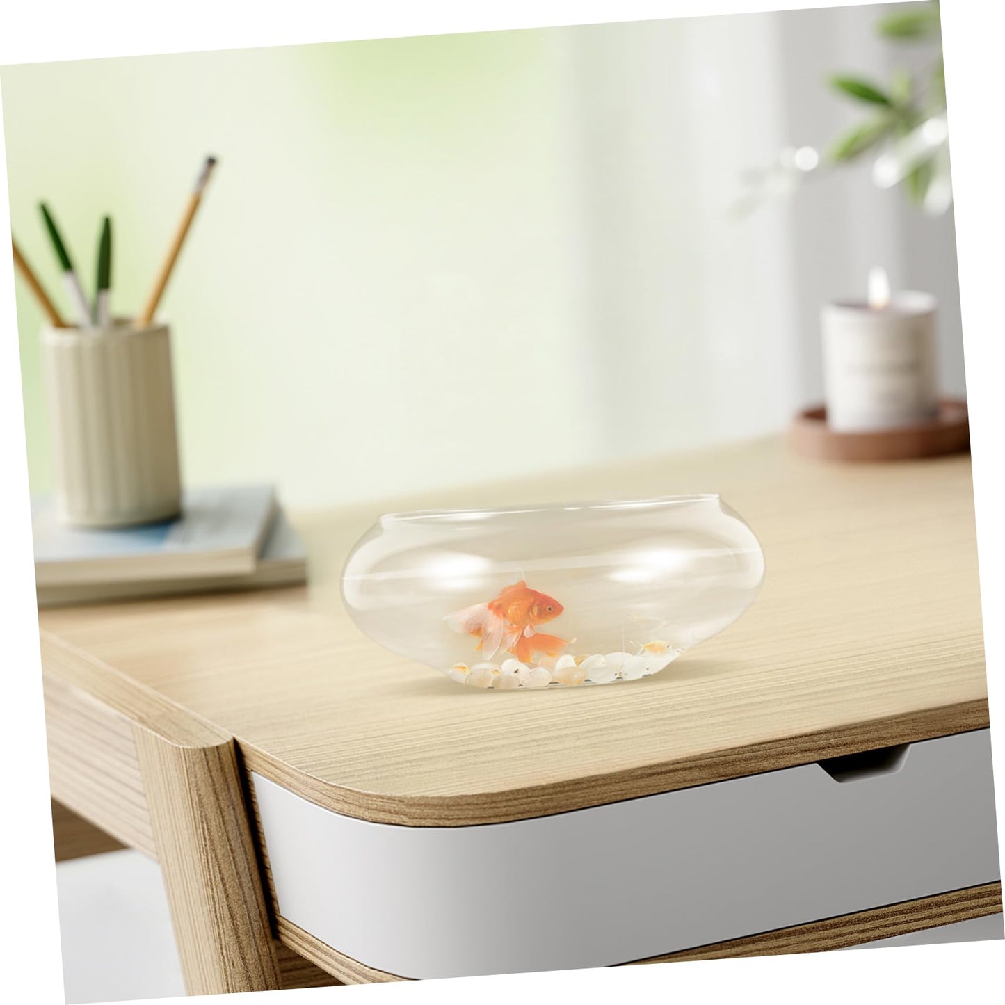 Mikikit Glass Fish Bowl Hydroponic Plant Pot for Cacti Clear Desktop Aquarium Vase for Betta Fish Terrarium Tank for Home Decor Office Use