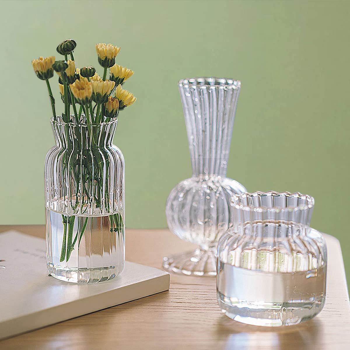 ECYC Ltd Clear Glass Vases Nordic Modern Minimalist Flowers Vases Cute Small Vases Bud Vase Hydroponic Flower Vase Terrarium Vase Plant Glass Pots for Home Office Weddings Party Decor, 2.2 x 4.9 in