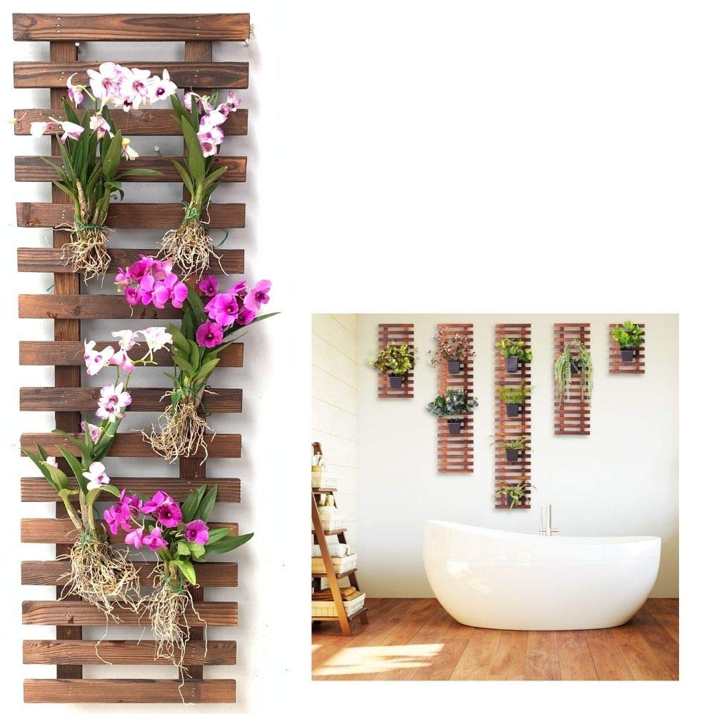 LalaGreen Bundle - 4 Inch, 10 Pack Self Watering White Plastic Pot + 2 Pack Wooden Plant Holder Wooden Hanging Planter, Plant Stand, Air Plant Succulent Holder, Outdoor Vertical Garden